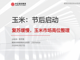 【玉米】节后高位盘整