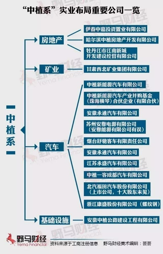 图片来源：野马财经