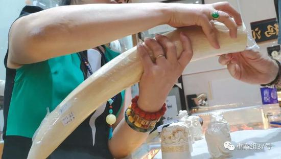 ▲2018年8月11日，北京十里河雅园国际珠宝厅，一猛犸象牙销售商向记者展示店内隐藏的现代象牙。 新京报记者王嘉宁 摄