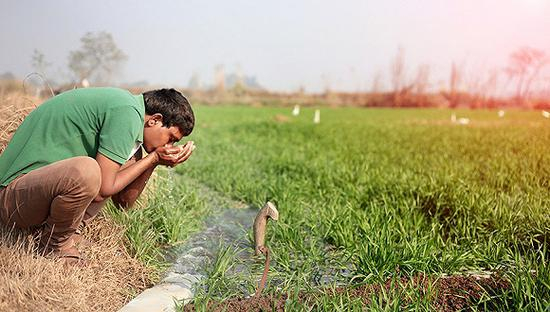 图片来源：视觉中国