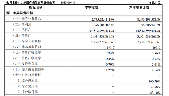图源：大家财险官网