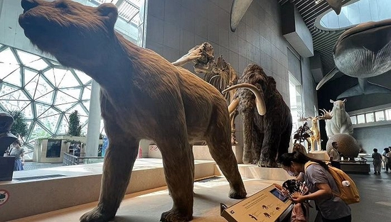 观众带着孩子在自然博物馆参观古动物史陈列厅展。摄影：方卓然