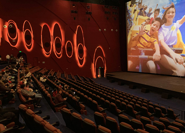 资料来源：作者拍摄，申万宏源研究