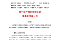 涉嫌内幕交易被调查一年半后，格力地产董事长鲁君四被免职