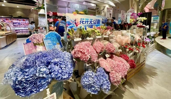 盒马鲜花专区绣球花成C位