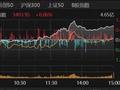 大金融发力，沪指收复3400点！