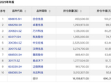 吴清点名的公募基金三大顽疾，这些基金都“中招”了