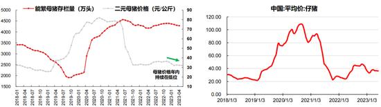 生猪养殖：能繁母猪去化加速 从“买拐点”到“买产能去化”