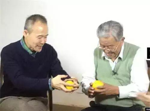 （王石与褚时健）