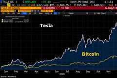 任何称比特币为投机泡沫的人都应该看看特斯拉（图）