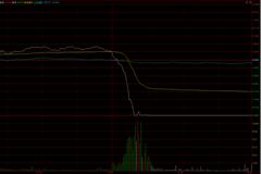 中国中免“惊魂一跳”:更有甚者暴跌11% 2股闪崩背后浮现同一身影