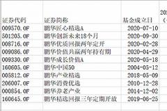 鹏华王宗合旗下10只基金一季度均亏损近10% "国民基金经理"跌下神坛？