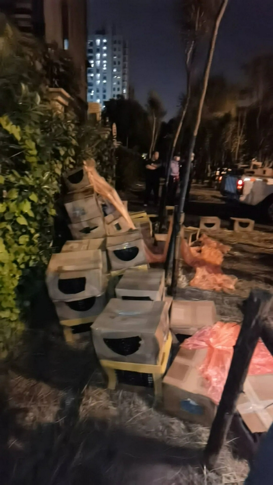 　图片来源：新浪微博@上海领养之家