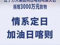 辽宁方大集团捐赠3000万元款物 驰援西藏定日县地震灾区