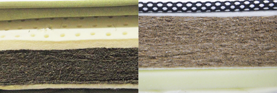 山棕（左）椰棕（右）