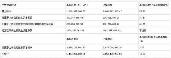 恒生电子18年1-6月财务报表数据