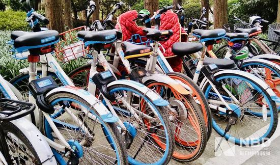 　图片来源：每经记者 刘洋 摄