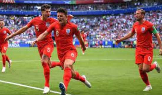 成立“影子委员会”