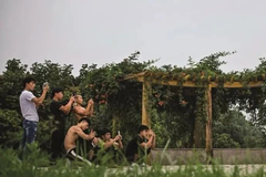 快手不能再慢了