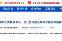 证监会第十七届发行审核委员会（发审委）兼职委员、中科院科技创新发展中心主任伍浩被查！