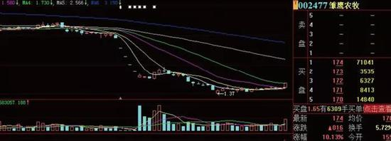 雏鹰农牧近期股价走势