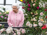 2个多月来第2次 英女王19日将公布新政府施政大纲