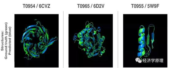 阿法蝶（叠）从基因序列准确预测蛋白质结构