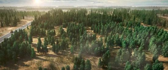 　今天的“毛乌素沙地”