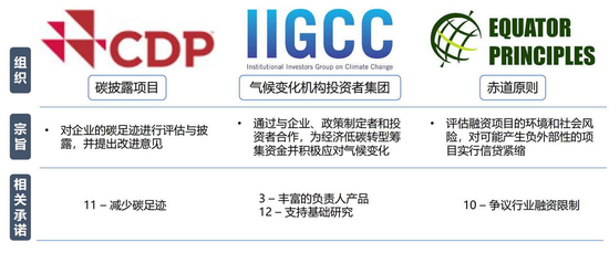 图5&nbsp; 对BNPP环境责任有影响的国际组织（2010）资料来源：社会价值投资联盟（CASVI）根据公开资料整理