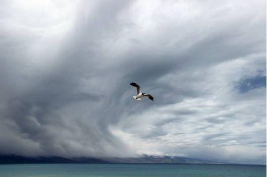 图片来源于网络