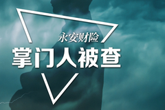 永安财险董事长涉嫌违纪违法被调查 在位时都发生哪些大事？