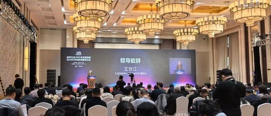 光伏行业2025年发展回顾与2026年形势展望研讨会