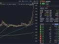 四倍大牛股，控股股东面临破产清算