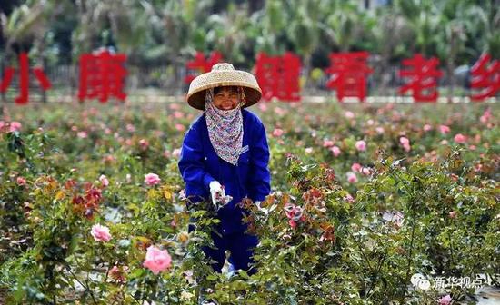习近平对海南人民的深深关怀，凝聚在他的殷切目光里，体现在他的实干步履中。
