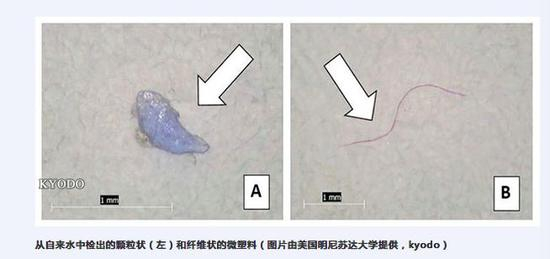 图片来源：《日本经济新闻》中文网截图