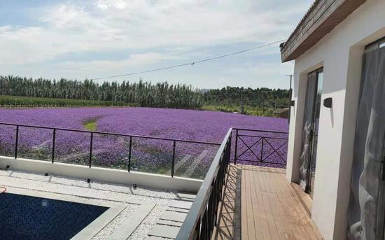 姚官岭村的民宿。新京报记者 王纪辛 摄