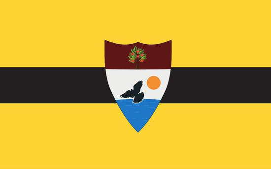 ‘自由之城共和国国旗’