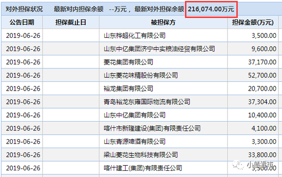 对外担保情况