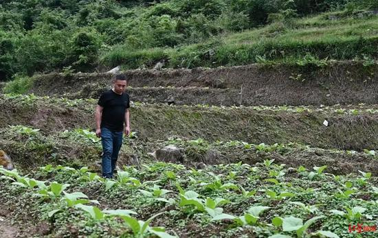 ▲本案当事人冉猛