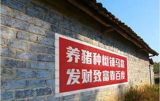 养猪种树铺马路 发财致富靠百度