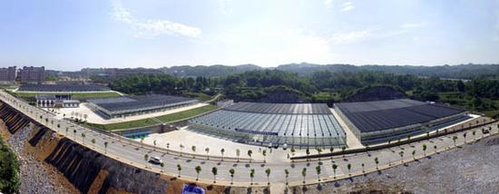 辐射全县的东关蔬菜育苗中心