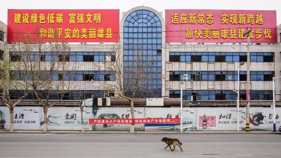 雄县街头的标语&nbsp; 图 / 视觉中国