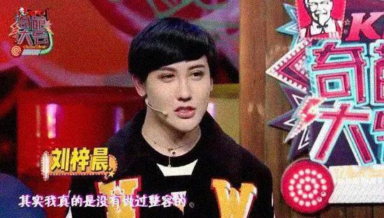 反动整容权威——刘梓晨