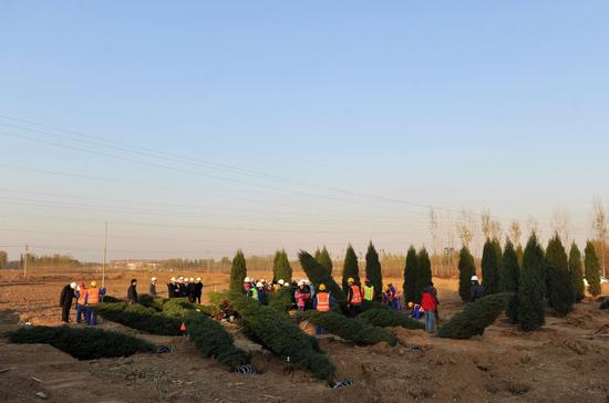 雄安新区植树造林现场。图 / 视觉中国