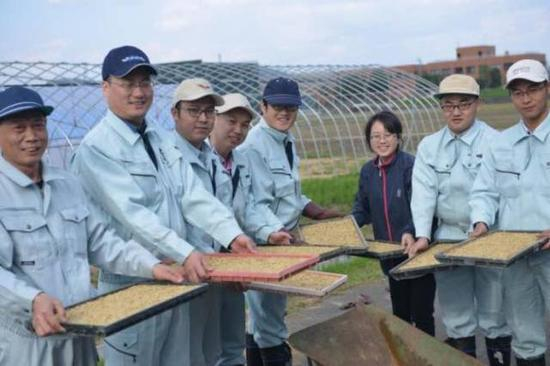 种田的华西村年轻人喜迎丰收，他们其中许多开着豪车在村企上班（本文图片均为华西村提供）