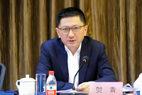 重磅！“70后”贺青任上海市副市长，从业经历横跨“银保证”