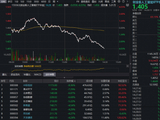 风云突变！中际旭创午后大跌超8%！机构：算力长期演进逻辑并未动摇！资金逢低吸筹高“光”159363