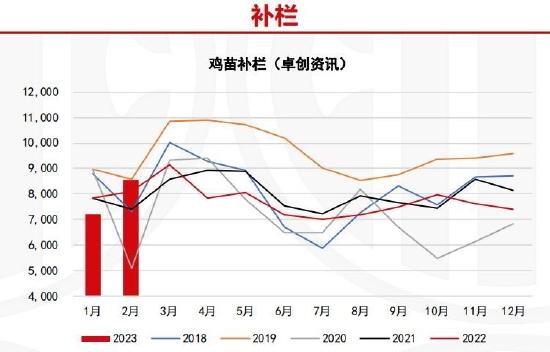 倍特期货：供应压力放大 鸡蛋或偏弱运行