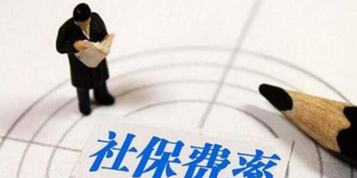 盘和林:社保新规提高实际缴费率 亟待降低名义