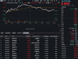 制冷剂延续高位震荡！化工板块冲高回落，华宝基金化工ETF（516020）小幅收红！75亿主力资金加码